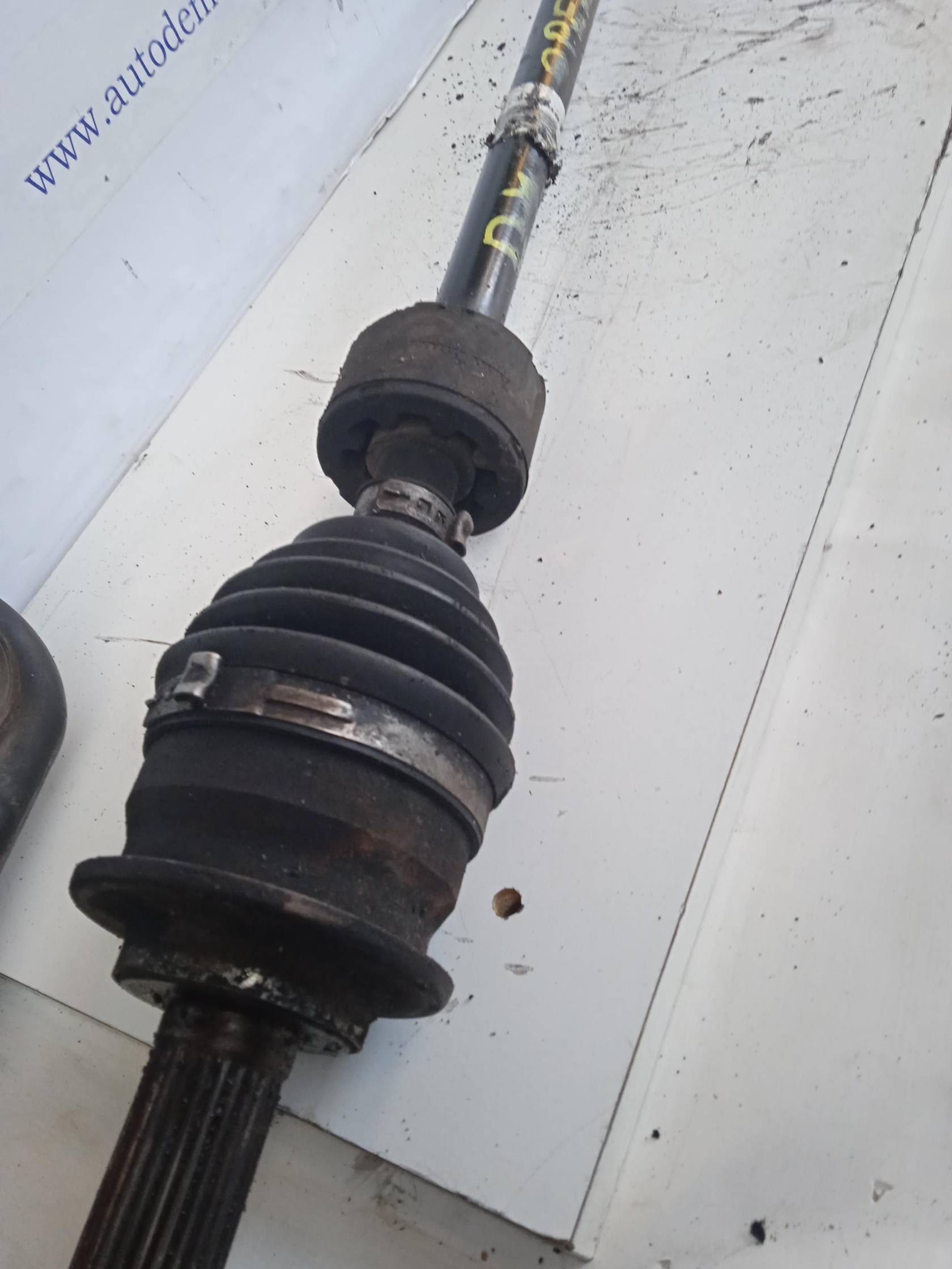 Semialbero ant. compl. dx.